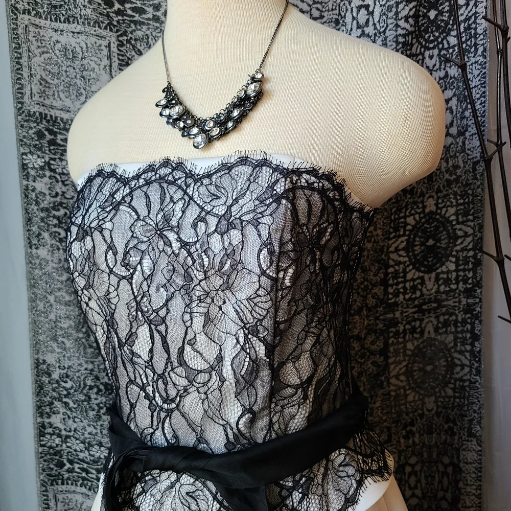 WHBM...STUNNING DRESS - Picture 2 of 5